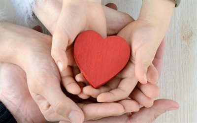 coração vermelho nas mãos, 4k, família, pais e filhos, conceitos familiares, relacionamentos, filhos, maternidade, conceitos de pais
