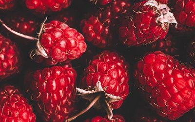 raspberry, macro, berries texture, picture with raspberry, food textures, raspberry textures, ripe berries