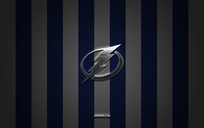 Tampa Bay Lightning logo, american hockey team, NHL, blue white carbon background, Tampa Bay Lightning emblem, hockey, Tampa Bay Lightning silver metal logo, Tampa Bay Lightning