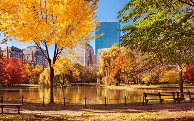 lagoon bridge, autunno, alberi gialli, lago, città americane, massachusetts, boston, usa, america, paesaggio urbano di boston, panorama di boston