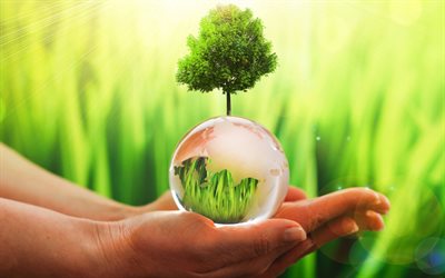 sauver la terre, 4k, l environnement, les globes de verre, les concepts d écologie, la terre à la main, l écologie