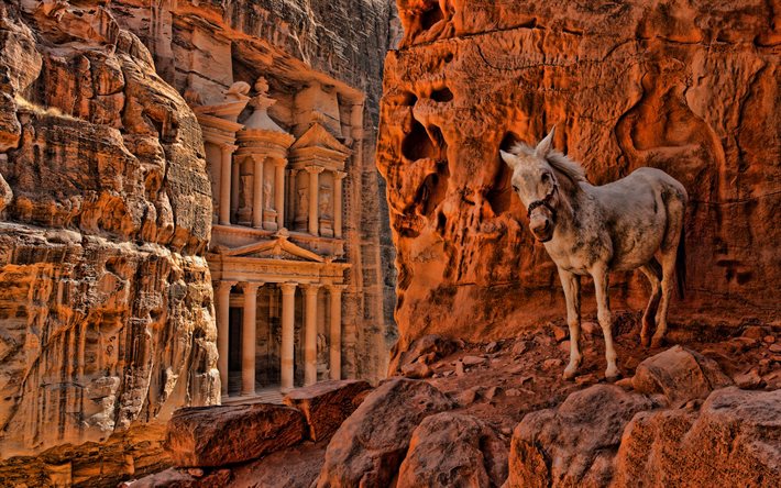 Al-Khazneh, The Treasury, Petra, Raqmu, rock temple, donkey, orange rocks, temples, Jordan
