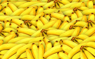 バナナの山, 4k, 大きい, エキゾチックな果物, ムサ, 新鮮な果物, バナナ, 熟した果実, バナナの絵, 果物