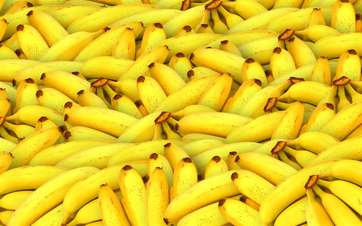 바나나의 산, 4k, 매크로, 이국적인 과일, 무사, 신선한 과일, 바나나, 익은 과일, 바나나와 사진, 과일