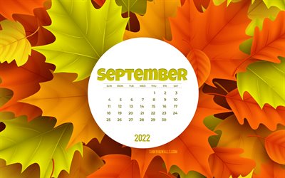 calendario de septiembre de 2022, 4k, fondo de hojas de naranja, hojas amarillas de otoño, septiembre, hojas de arce, fondo de otoño, conceptos de 2022