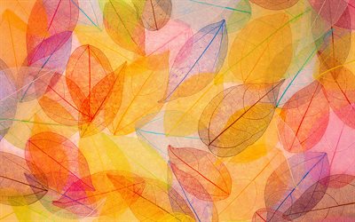 抽象的な紅葉, 4k, 葉のパターン, 秋, 葉のある絵, オレンジの葉, 葉のある背景, 自然な風合い, 紅葉, 葉