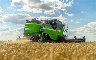 4k, Fendt Corus 526 MCH, back view, wheat harvesting, 2022 harvesters, agricultural machinery, green combine, 2022 Fendt Corus, green harvest, grain harvest, agricultural concepts, Fendt