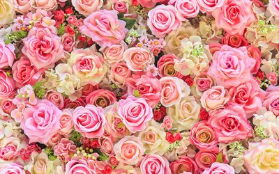 diversi tipi di rose, 4k, sfondo rosa, sfondo floreale, diversi colori di rose, bellissimi fiori, rose