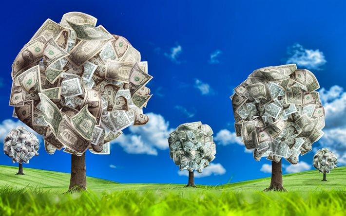 árvore de dinheiro, 4k, crescimento de capital, depósito, árvore do dólar, conceitos de finanças, capital, dinheiro, dólares americanos