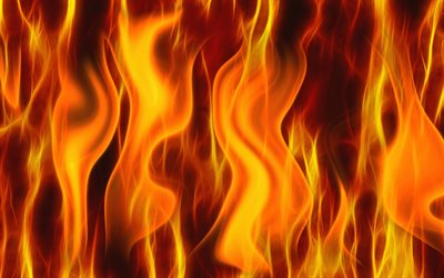 texturas de chamas de fogo, 4k, macro, texturas de fogo, fundo de fogo, fundo ardente, fogueira, chamas de fogo, fundo com fogo