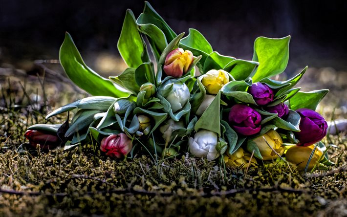 ramo de tulipanes coloridos, flores de primavera, fondo con tulipanes, hermoso ramo, tulipanes