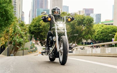 Harley-Davidson Softail Standard, 4k, highway, 2022 bikes, superbikes, headlights, rider on bikes, 2022 Harley-Davidson Softail Standard, american motorcycles, Harley-Davidson