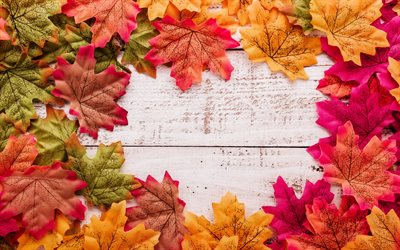 秋の葉のフレーム, ナチュラルフレーム, 木製の背景, メープルはフレームを去ります, 紅葉, 秋のフレーム