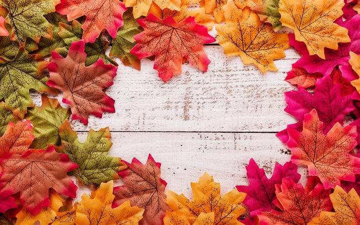 folhas de outono quadro, estrutura natural, fundo de madeira, folhas de bordo, moldura, folhas de outono, estrutura de outono