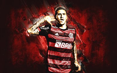 Pedro Guilherme, Flamengo, brazilian soccer player, Pedro, Serie A, Brazil, football, red grunge background