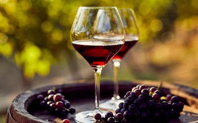rotwein, 4k, trauben, gläser mit rotwein, weinberg, traubenernte, weinkonzepte, holzfass, wein