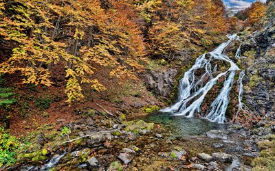 waterfall, autumn landscape, yellow leaves, forest, autumn, yellow trees, beautiful waterfall, Spain