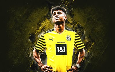 karim adeyemi, borussia dortmund, footballeur allemand, portrait, fond de pierre jaune, bundesliga, allemagne, football, bvb