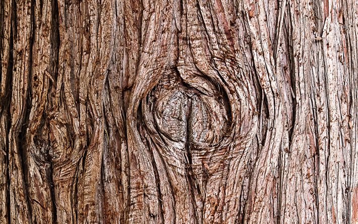 4k, textura de madera vertical, texturas de madera en 3d, fondo de madera marrón, macro, fondos de madera, texturas de madera