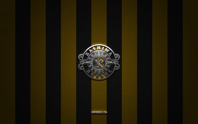 kashiwa reysol logosu, japon futbol kulübü, j1 ligi, sarı siyah karbon arka plan, kashiwa reysol amblemi, futbol, kashiwa reysol, japonya, kashiwa reysol gümüş metal logo