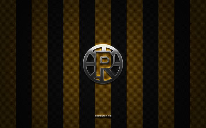 Providence Bruins logo, American hockey team, AHL, yellow black carbon background, Providence Bruins emblem, hockey, Providence Bruins, USA, Providence Bruins silver metal logo