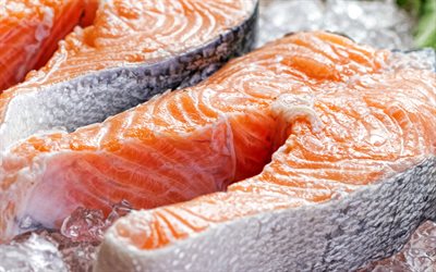 salmone fresco, 4k, pesce fresco, salmone, tranci di salmone, salmone con ghiaccio, pezzi di pesce fresco, frutti di mare