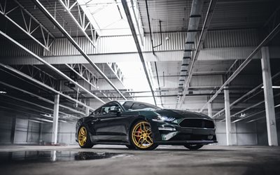 ford mustang, vista frontale, coupé sportiva, esterno, verde ford mustang, mustang tuning, cerchi dorati, auto sportive americane, ford
