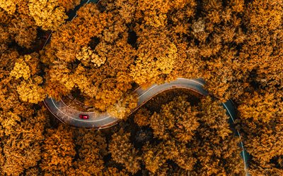 4k, vista aérea, otoño, carretera de montaña, serpentinas, bosque, árboles amarillos, bosque en otoño