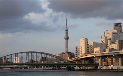 tokyo skytree, evening, sunset, tokyo, tour d observation, sumida, paysage urbain de tokyo, japon, asie