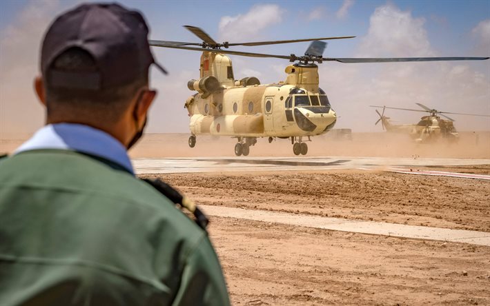 boeing ch-47 chinook, helicóptero de transporte militar americano, helicópteros militares, força aérea marroquina real, ch-47 chinook, marrocos