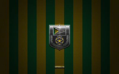 logo der guyana national football team, concacaf, nordamerika, grün gelber kohlenstoffhintergrund, guyana -nationalfußballmannschaft emblem, fußball, guyana national football team, guyana