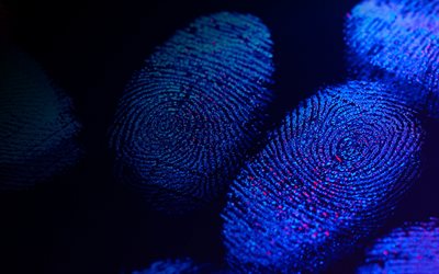 青い指紋, 4k, 抽象芸術, セキュリティの概念, 保護, 身元, 認証, 安全, 抽象的な指紋, 指紋