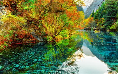 parc national de jiuzhaigou, automne, lacs bleus, monuments chinois, province du sichuan, asie, chine, belle nature, montagnes, arbres jaunes
