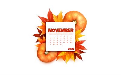 2022 تقويم نوفمبر, 4k, خلفية بيضاء, فن الخريف, القرع, تقويم نوفمبر 2022, مفاهيم الخريف, شهر نوفمبر, تقويم نوفمبر