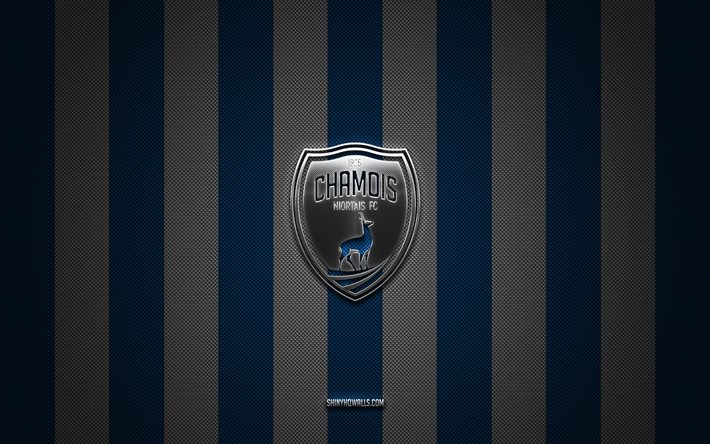 logotipo de footo francês niortais fc camois niortais, clube de futebol francês, ligue 2, antecedentes de carbono branco azul, camois niortais fc embleme
