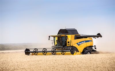 ニューホランド cx8-80, 4k, コンバインハーベスター, 2022年のコンバイン, 小麦の収穫, フィールドの収穫機, 収穫の概念, 黄色のコンバイン, 黄色い収穫, 農業の概念, ニューホランド農業