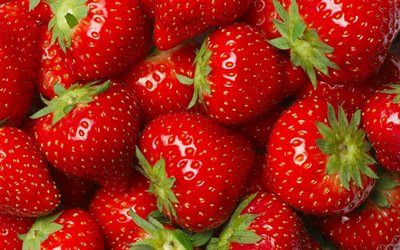 fraises mûres, 4k, macro, bokeh, baies mûres, baies rouges, grandes baies, fraise, baies, image avec fraise