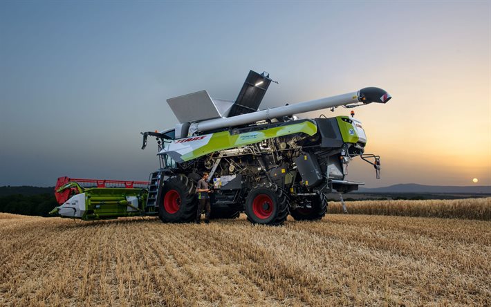Claas Trion 730, back view, 2022 combines, combine harvester, wheat harvest, harvesting concepts, agriculture concepts, Claas
