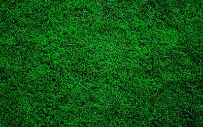 نسيج العشب الأخضر, 4k, القوام الطبيعي, علم البيئة, الخلفية مع العشب, قوام العشب, خلفيات خضراء, خلفيات العشب, عشب اخضر