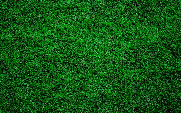 푸른 잔디 질감, 4k, 자연스러운 질감, 생태학, 잔디와 배경, 잔디 질감, 녹색 배경, 잔디 배경, 녹색 풀