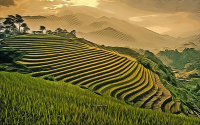 tea plantations, Bali, 4k, vector art, evening, sunset, scenery drawings, Bali drawings, Indonesia, Bali art