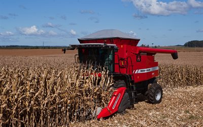 Massey Ferguson 9690 ATR, corn, combine harvester, 2015 combines, red harvester, corn harvesting, red combine, harvesting concepts, agriculture concepts, Massey Ferguson