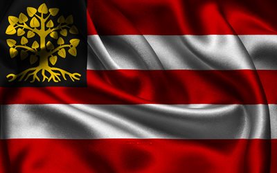 bandiera s hertogenbosch, 4k, città olandesi, bandiere di raso, giorno di s hertogenbosch, bandiera di s hertogenbosch, bandiere ondulate di raso, città dei paesi bassi, s hertogenbosch, olanda