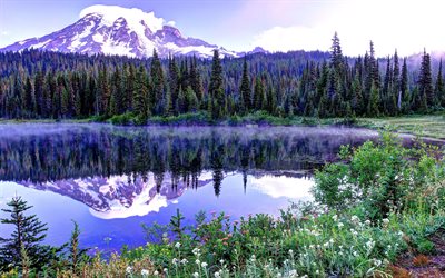 4k, Mount Rainier, morning, lake, american landmarks, fog, Mount Rainier National Park, Washington, USA, America, beautiful nature, mountains, volcano