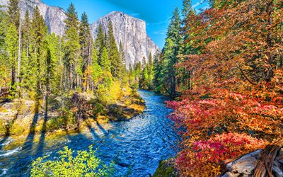 요세미티 국립 공원, 산 강, 가을, 산 풍경, 가을 풍경, 노란 나무, 시에라 네바다, 캘리포니아, 미국