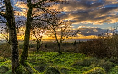 irland, 4k, sonnenuntergang, bäume, hügel, herbst, schöne natur, moos, uk, vereinigtes königreich, irische natur, hdr