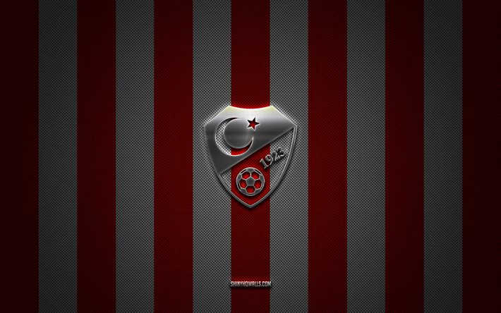 logo der türkischen fußballnationalmannschaft, uefa, europa, rot-weißer karbonhintergrund, emblem der türkischen fußballnationalmannschaft, fußball, türkische fußballnationalmannschaft, türkei