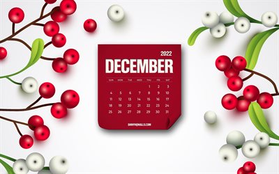 calendrier décembre 2022, 4k, fond blanc, baies rouges, décembre, concepts 2022, fond d'hiver, art créatif
