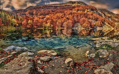 4k, lago di montagna, autunno, alberi gialli, paesaggio autunnale, foresta autunnale, bellissimo lago, foresta, foglie secche cadute