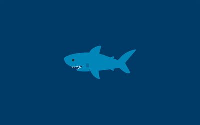 tubarão azul, 4k, mínimo, fundo azul, peixe, tubarões, criativo, minimalismo de tubarão, tubarão
